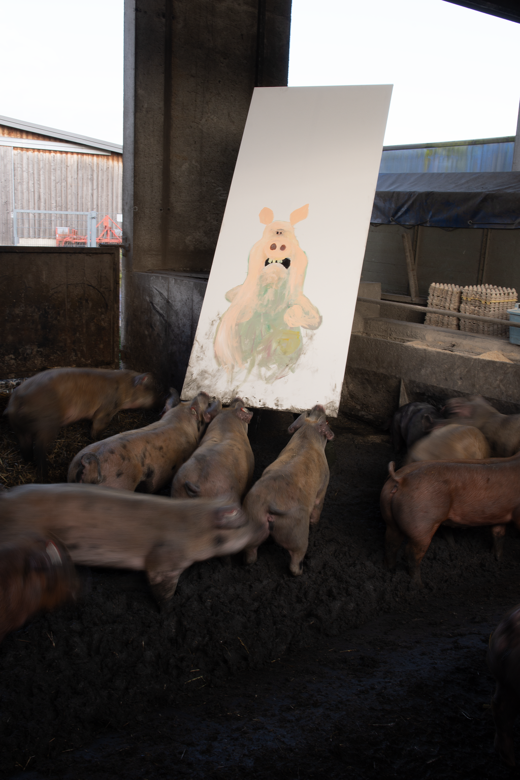 SCHWEINEFRESSENSCHWEINE